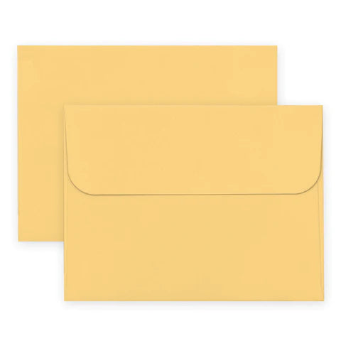 Butternut Envelope (12/pk)