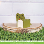 tiny gift box lizard and snake add-on