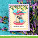 build-a-bird feeder
